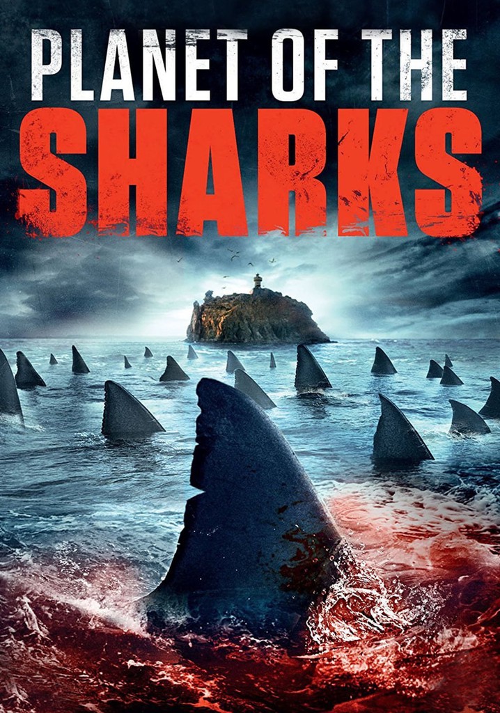 Regarder des requins en streaming complet